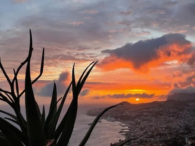 Theview Vila Funchal (Madeira)