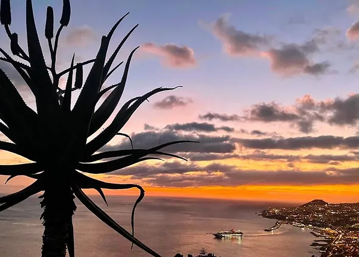 Theview * Funchal (Madeira)