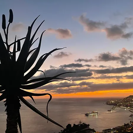 Theview Villa Funchal (Madeira)