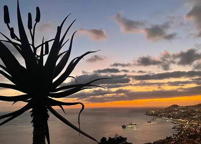 Theview Villa Funchal (Madeira)