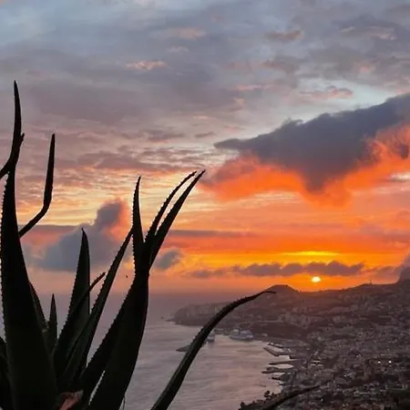 Theview Villa Funchal (Madeira)