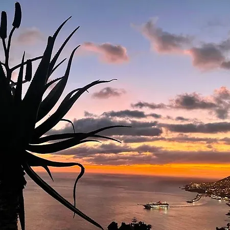 Theview * Funchal