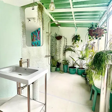 Theview Фуншал